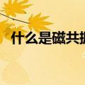 什么是磁共振（这些方面必须用上磁共振）