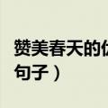 赞美春天的优美句子有哪些（赞美春天的优美句子）