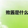 败酱是什么东西（败酱具体是什么东西）