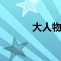 大人物剧情（电影大人物简介）