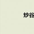 炒谷芽（关于炒谷芽介绍）