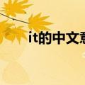 it的中文意思是什么（it的中文意思）