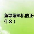 鱼塘增氧机的正确使用方法（鱼塘增氧机的正确使用方法是什么）