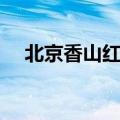 北京香山红叶观赏时间（香山公园简介）