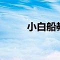 小白船教案（大家一起来学习吧）