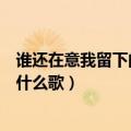 谁还在意我留下的泪是什么歌（歌词谁还在意我留下的泪是什么歌）