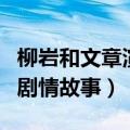 柳岩和文章演的什么电视剧（了解一下电视的剧情故事）