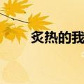炙热的我们（关于炙热的我们介绍）