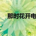 那时花开电影剧情（讲述的是什么故事）