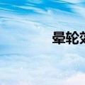 晕轮效应是什么意思（解释）