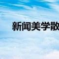 新闻美学散步（关于新闻美学散步简介）