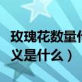 玫瑰花数量代表的含义（玫瑰花数量代表的含义是什么）