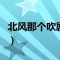北风那个吹剧情简介（北风那个吹电视的简介）