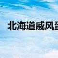 北海道戚风蛋糕（北海道戚风蛋糕如何做）