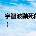宇智波鼬死的时候是哪一集（你知道答案了吗）