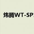 炜腾WT-SP10（关于炜腾WT-SP10介绍）
