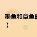 墨鱼和章鱼的区别（墨鱼和章鱼的区别有哪些）