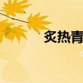 炙热青春（关于炙热青春介绍）