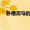 卧槽泥马的意思（卧槽泥马是什么意思）