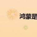 鸿蒙是什么意思（怎么解释呢）