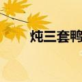 炖三套鸭子（关于炖三套鸭子介绍）