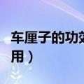 车厘子的功效和作用（车厘子有什么功效和作用）