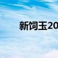 新饲玉20号（关于新饲玉20号简介）