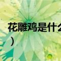 花雕鸡是什么地方的菜（花雕鸡属于什么菜系）