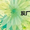 炭厂村（关于炭厂村介绍）