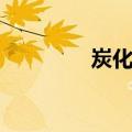 炭化木（关于炭化木介绍）