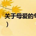 关于母爱的句子唯美（　描写母爱的优美句子）