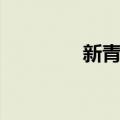 新青年（关于新青年简介）
