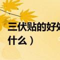 三伏贴的好处与功效（三伏贴的好处和功效是什么）