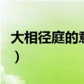 大相径庭的意思是什么（大相径庭的名词解释）