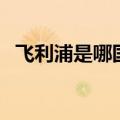 飞利浦是哪国的品牌（关于飞利浦的介绍）