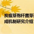 炭疽芽孢杆菌芽孢形成机制研究（关于炭疽芽孢杆菌芽孢形成机制研究介绍）