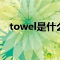 towel是什么意思（英语towel什么意思）