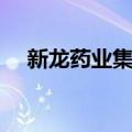 新龙药业集团（关于新龙药业集团简介）