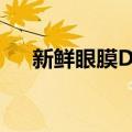 新鲜眼膜DIY（关于新鲜眼膜DIY简介）