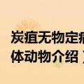 炭疽无物定病原体动物（关于炭疽无物定病原体动物介绍）