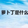 萝卜丁是什么牌子（萝卜丁口红的设计特点）