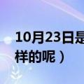 10月23日是什么星座（该星座的性格是怎么样的呢）