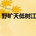 野旷天低树江清月近人的意思（原文及译文）