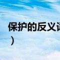 保护的反义词是什么（保护的反义词简单介绍）