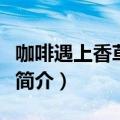 咖啡遇上香草电视剧结局（咖啡遇上香草剧情简介）