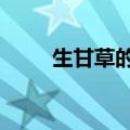 生甘草的功效（生甘草的5种功效）