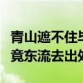 青山遮不住毕竟东流去的哲理（青山遮不住毕竟东流去出处）