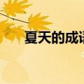 夏天的成语（关于夏天的成语有哪些）