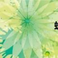 蝉拼音（蝉怎么读）