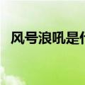 风号浪吼是什么意思（有什么相关的句子）